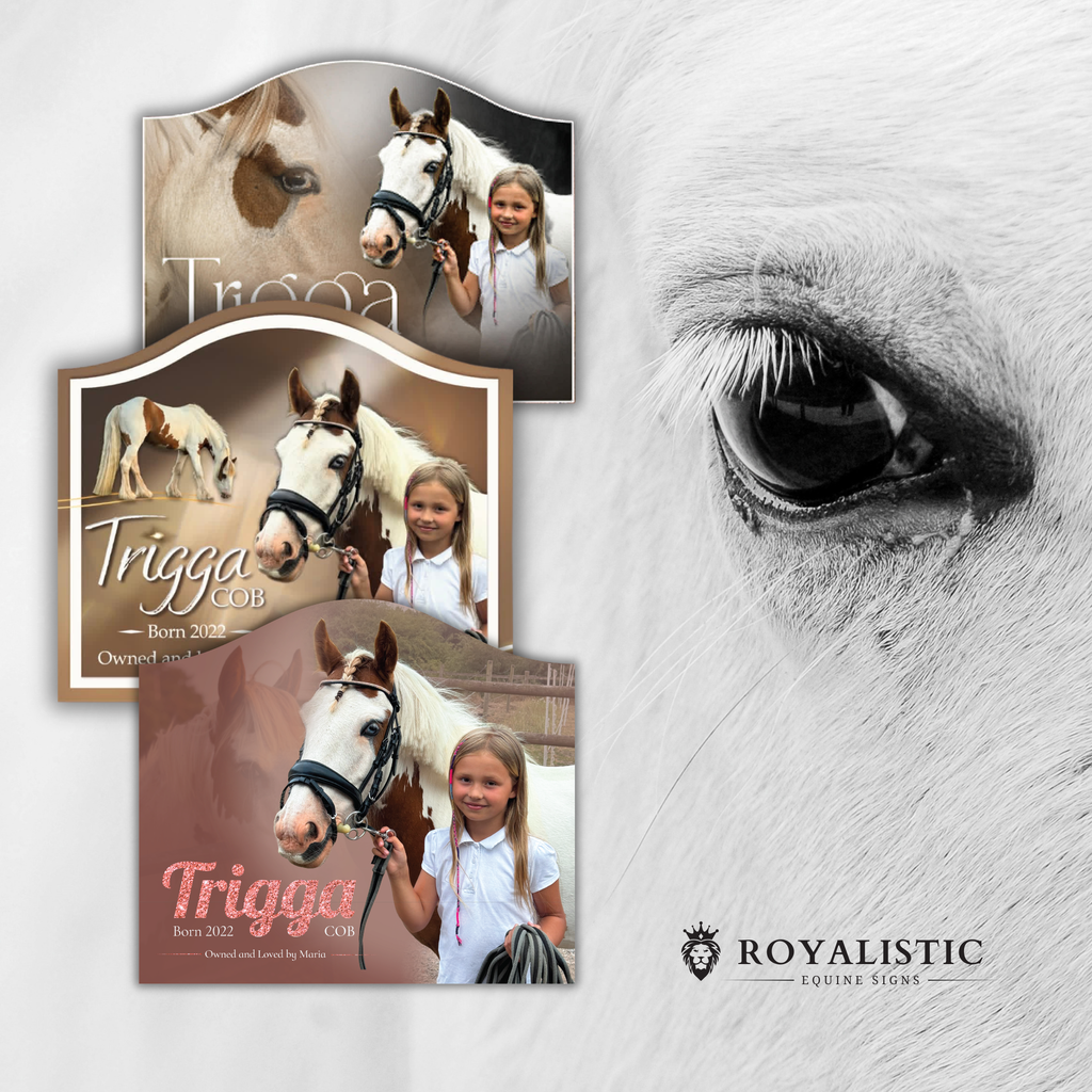 Arched Stable Photo Signs