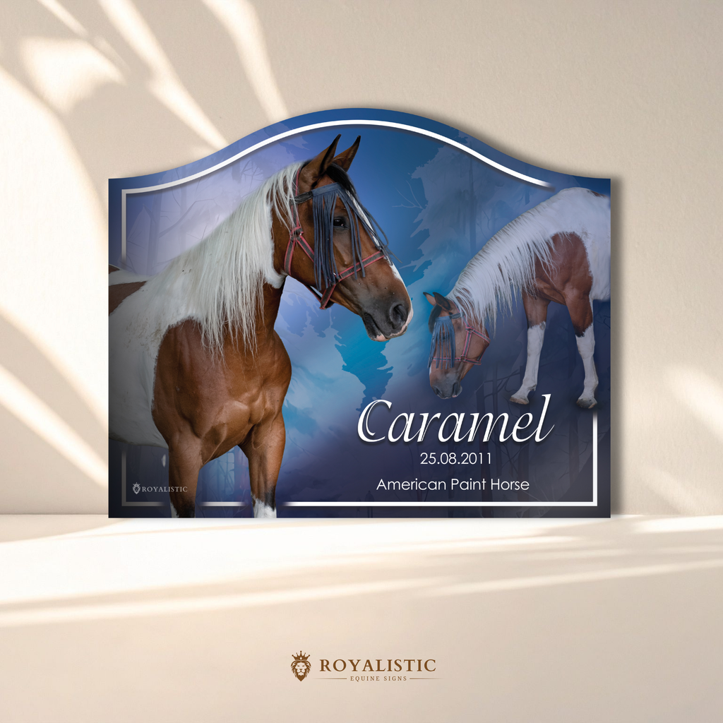 Arched Stable Photo Signs