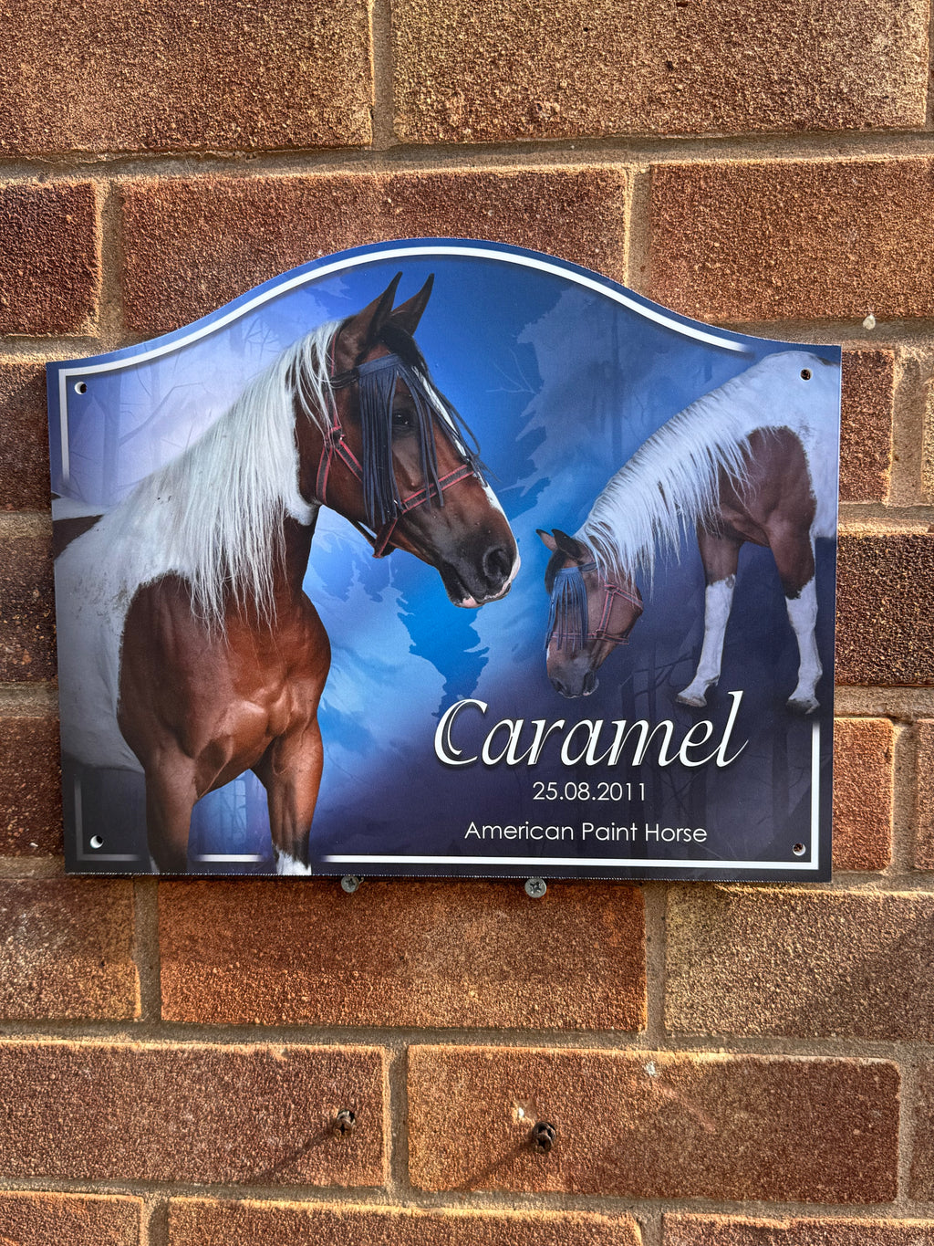 Arched Stable Photo Signs