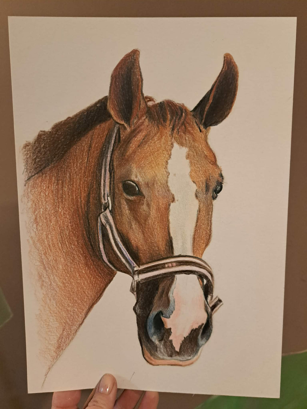 Art / Old Castle Stable Sign